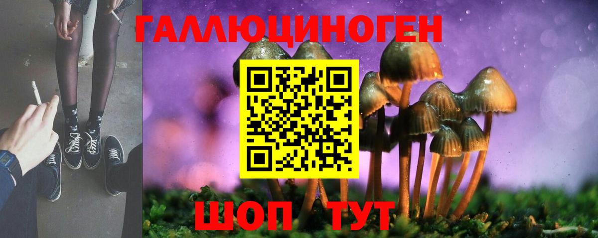 Галлюциногенные грибы Magic Shrooms  Галлюциногенные грибы Psilocybe  Майский  Вход с VPN 